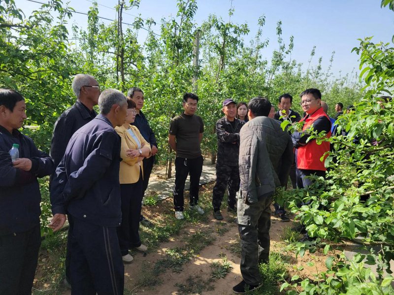 智慧农业引领未来：数字化种植解锁高效农业新篇章